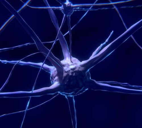 Motor neuron toxin associated with ALS identified