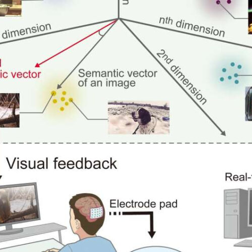 Scientists see what research participants picture in their mind’s eye