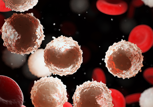 Novel acute myeloid leukemia subtypes identified