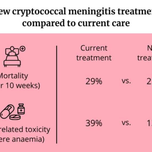 New cryptococcal meningitis treatment as good as current care with far fewer serious side effects