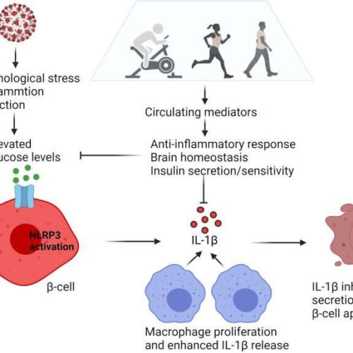 Exercise may treat long COVID-induced diabetes, depression