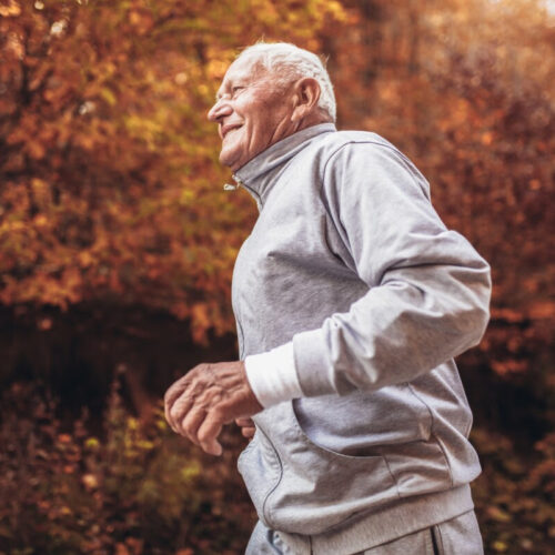 Lifelong exercise found to preserve stem cell counts in aging muscles