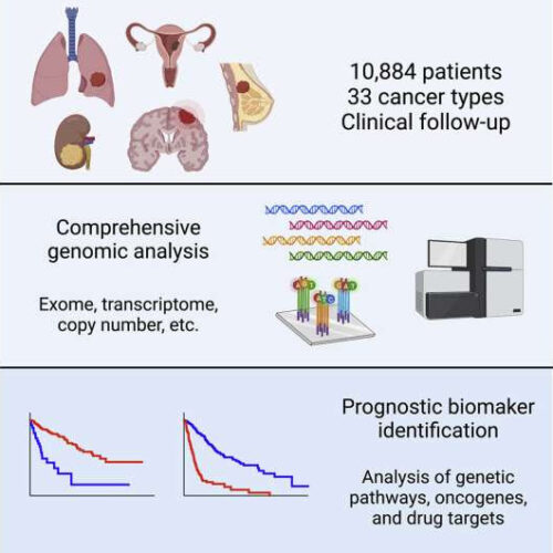 Learning which genetic changes predict greatest risk of cancer death