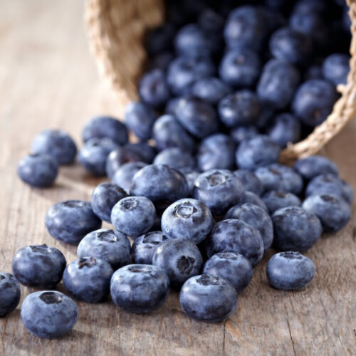 Study suggests blueberry extract could help heal chronic wounds
