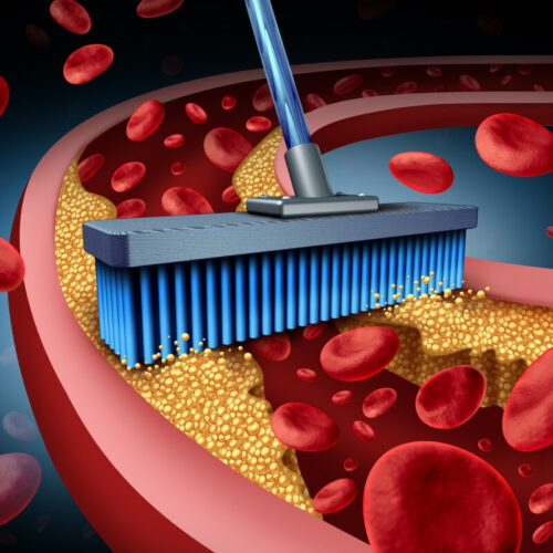 Supercharged cellular cleaning process prevents clogged arteries in mice