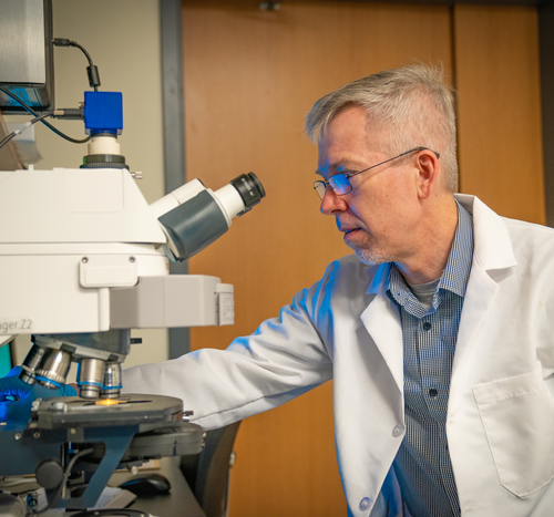 WVU researcher develops data-driven approach to help reduce drug costs and treat diseases