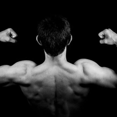 Strength training protects against muscle pain by activating androgen receptors