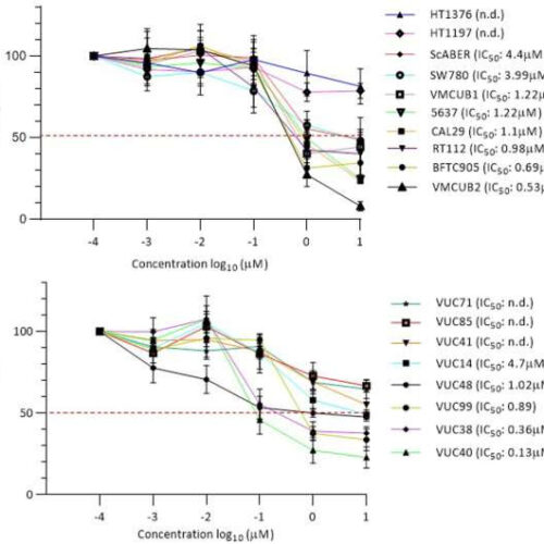 Therapeutically effective drugs for bladder cancer identified