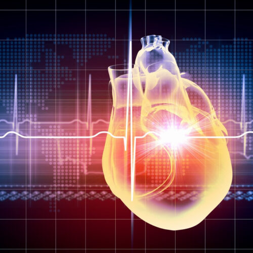 siRNA therapy shows promise for reducing genetic heart disease risk