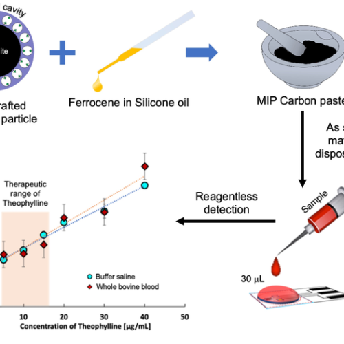 New graphite based rapid sensor chip for real-time theophylline monitoring