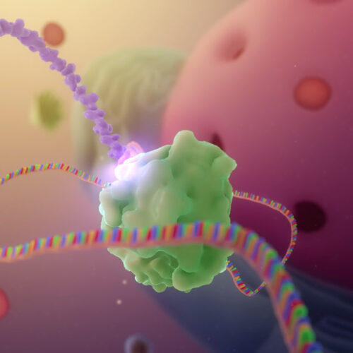 An mRNA vaccine with a twist—it copies itself—protects against COVID-19