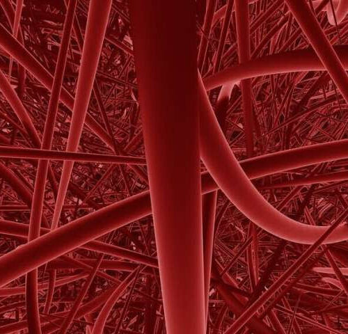 In situ vascular tissue engineering: Methods, models, and mechanisms