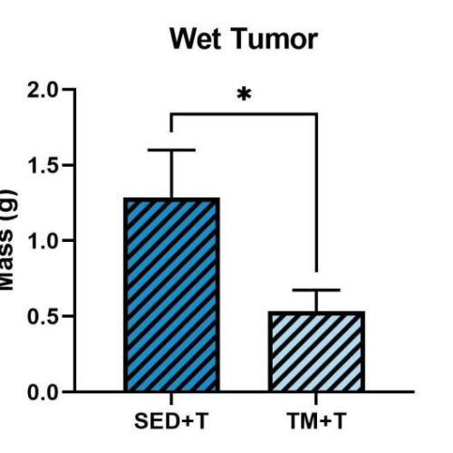 Exercise could help reduce severity of serious cancer complication