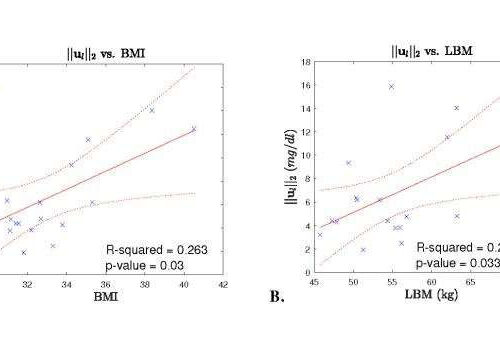 Sparse system identification of leptin dynamics in women with obesity