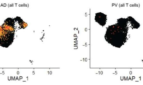 What is that rash? Genetic fingerprints can help doctors diagnose and treat skin conditions more effectively