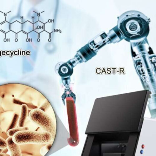 Automated CAST-R system helps identify best antimicrobials to fight acute blood infections