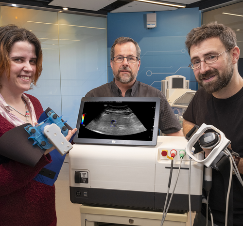 GE research-led team treats diabetes using ultrasound