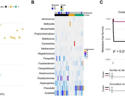 Five types of bacteria linked to aggressive prostate cancer