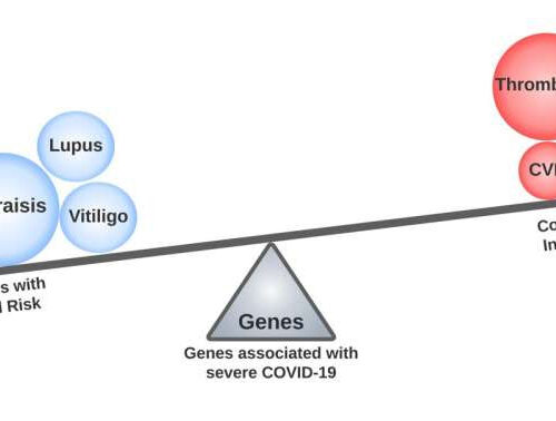 Genetic links revealed between severe COVID-19 and other diseases