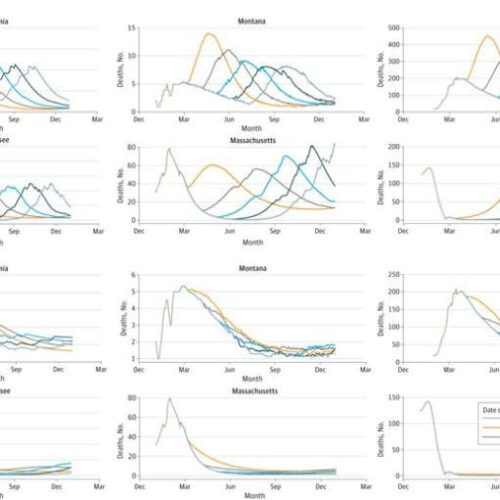 Study predicts COVID-19 deaths will rebound when all restrictions are lifted