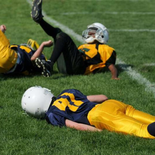 New study finds that the gut can hold important clues about concussions