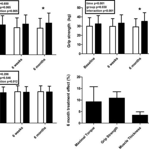 Krill oil may be beneficial to muscle function and size in healthy people over the age of 65