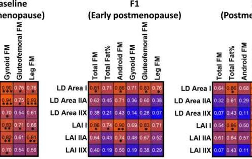 Menopause and the health risks associated with increased adiposity