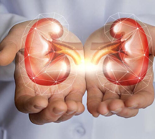 How to Keep Your Kidneys Healthy