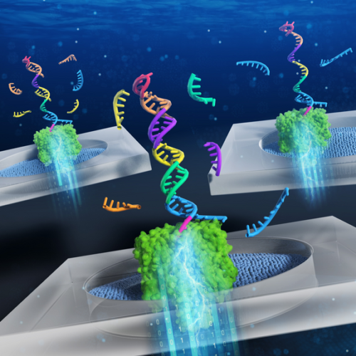 Detection of cancer biomarkers from blood samples using nanopore-based DNA computing technology