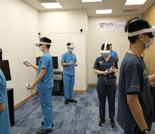 Virtual Reality to Train Staff to Deal with Agitated Patients