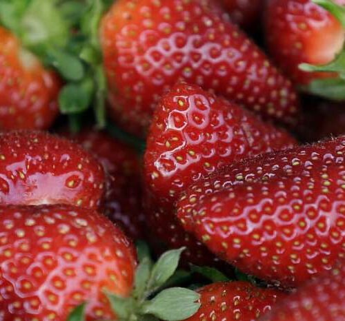 US, Canadian regulators tie hepatitis cases to strawberries