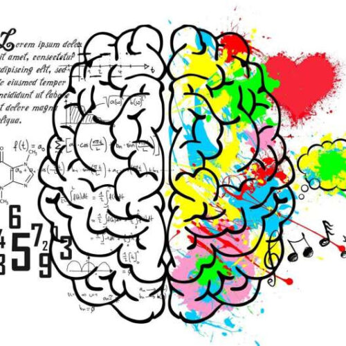 New research reveals tradeoff between complex words and complex grammar in sentences