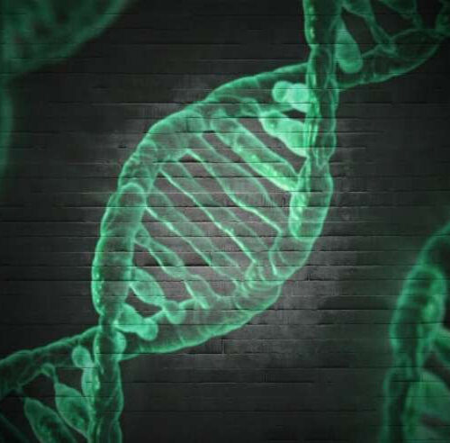 Study shows genotype leads to discontinued, decreased medication