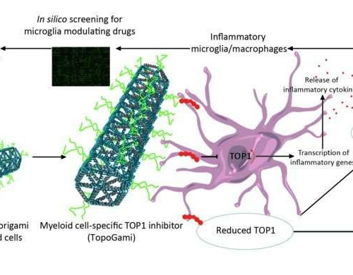 Repurposing cancer drug to treat neuroinflammation