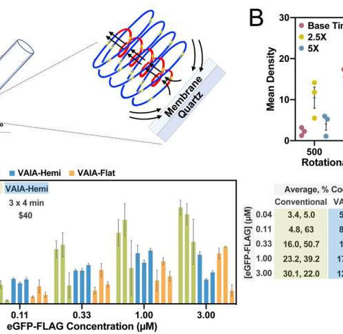 Big step in rapid diagnostics for infectious diseases