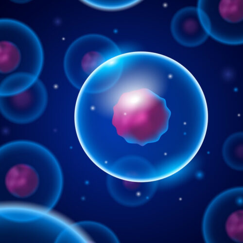 Bursting bubbles create cell openings for potent delivery of cancer drugs