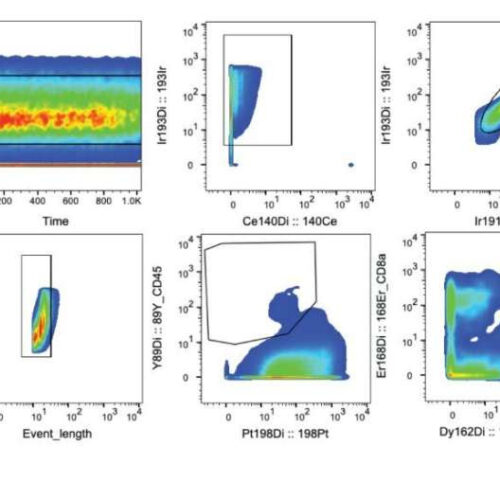 Study identifies receptor that could alleviate need for chemo, radiation pre-T cell therapy