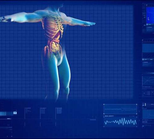 Genetic screening algorithm could identify people with kidney disease risk