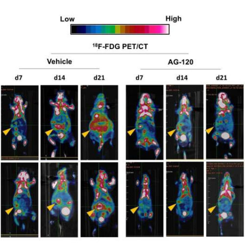 Existing cancer therapy in narrow use shows significant activity against other cancers