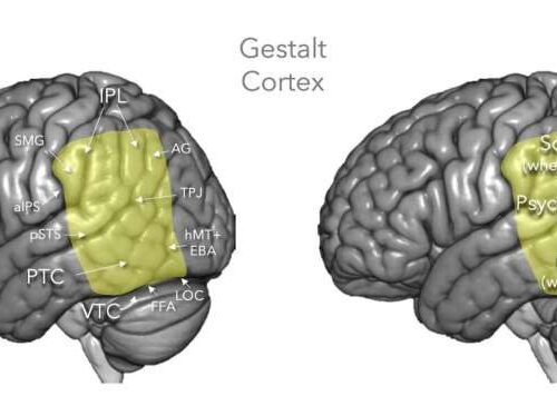 Well, I see it differently: Psychologist explains why people don’t view the world the same way others do