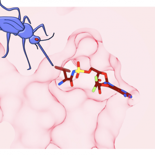 This parasite will self-destruct: researchers discover new weapon against drug-resistant malaria