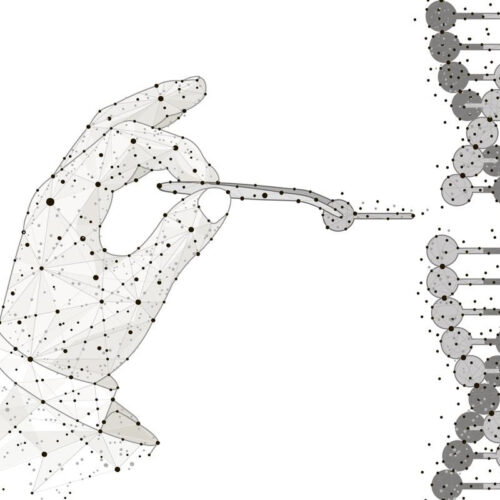 America’s first CRISPR trial is still nearly 100% effective 3 years on