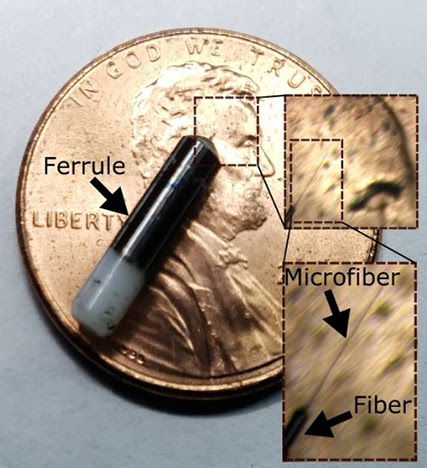 Flexible Microprobe for Neural Interfacing