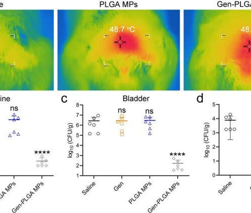 Novel in-situ microwave hyperthermia therapy to overcome multidrug-resistant E. coli infections