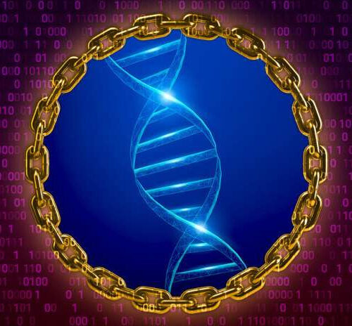 Blockchain not just for bitcoin. It can secure and store genomes too