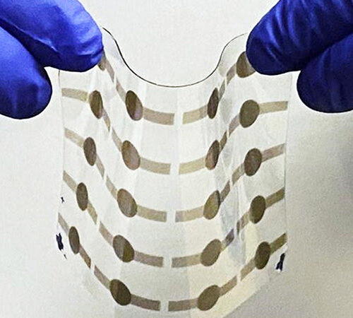 Artificial Muscles are Stronger and More Flexible than Real Muscle