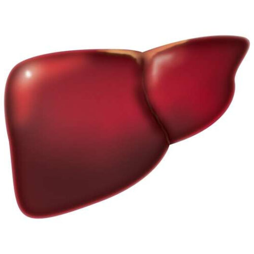 Researchers create highly accurate non-invasive test for major liver diseases