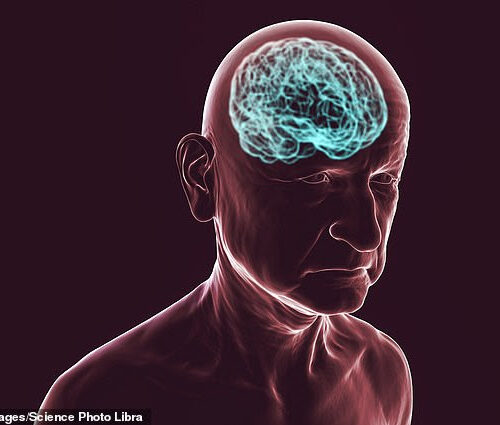 Seminal Alzheimer’s study claiming memory-robbing disease was caused by build-up of protein in brain may have been MANIPULATED, damning investigation claims