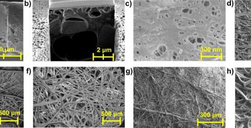 Researchers develop antiviral face mask that can capture, deactivate SARS-CoV-2 spike protein on contact