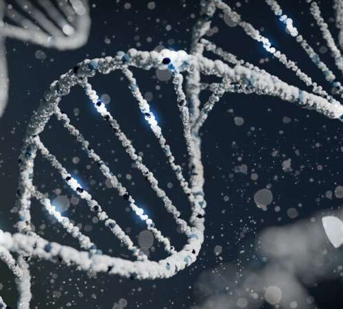 Global team of scientists discover new gene causing severe neurodevelopmental delays